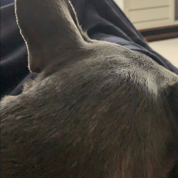 Meet your Posher, Tim - Picture 1 of 1